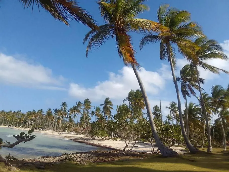 Caribbean House For Family Villa Las Galeras 0*,  Dominican Republic